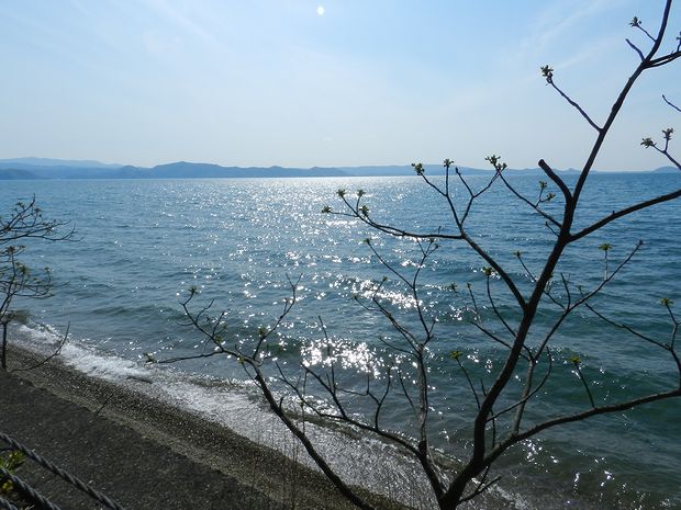 f:id:k9352009:20120517201124j:image f:id:k9352009:20120517201124j:image