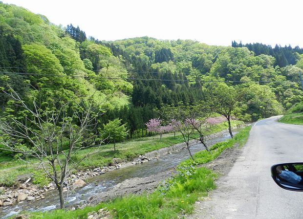 f:id:k9352009:20120522091732j:image