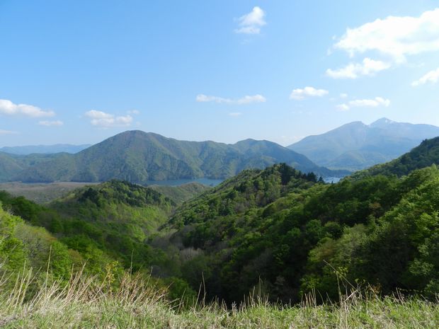 f:id:k9352009:20120529111820j:image