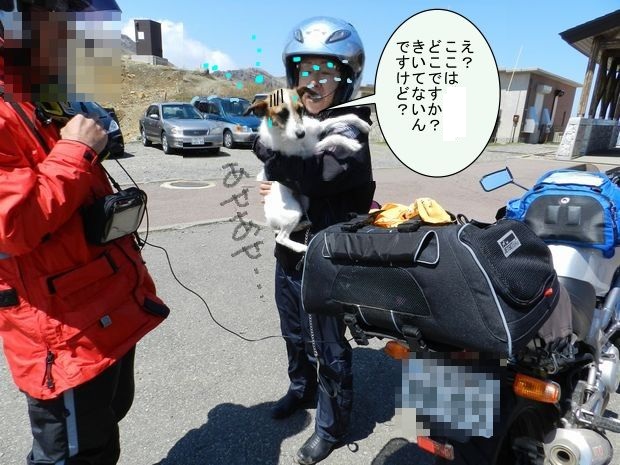f:id:k9352009:20120529135916j:image