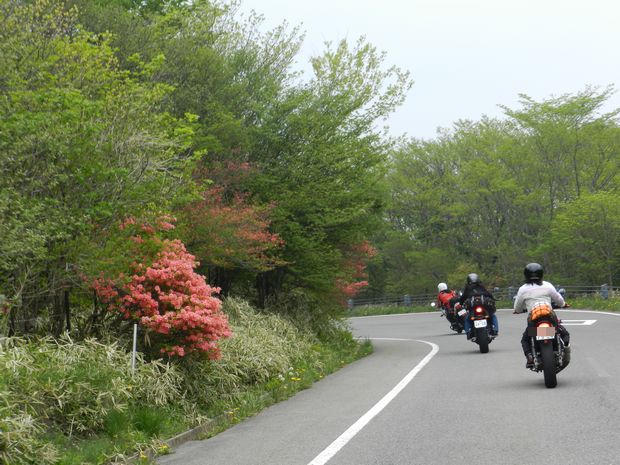 f:id:k9352009:20120604152312j:image