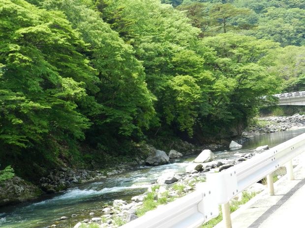 f:id:k9352009:20120605134220j:image