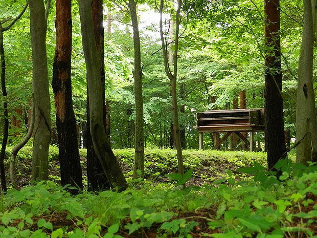 f:id:k9352009:20120709120031j:image