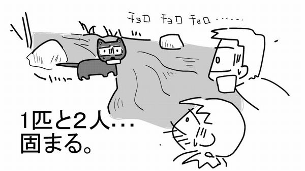f:id:k9352009:20120709120439j:image
