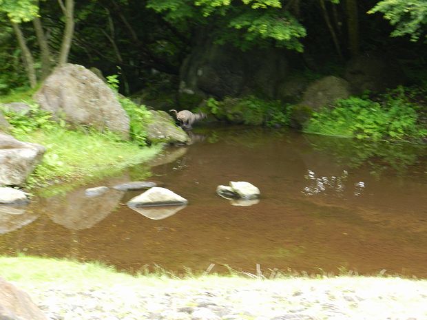 f:id:k9352009:20120709120702j:image