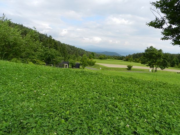 f:id:k9352009:20120709121452j:image