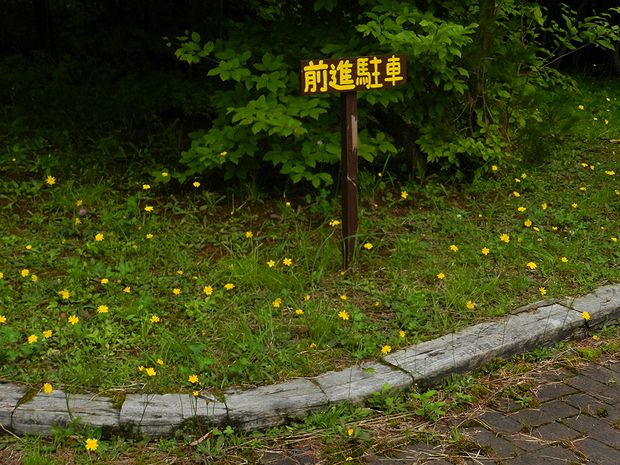 f:id:k9352009:20120709121827j:image