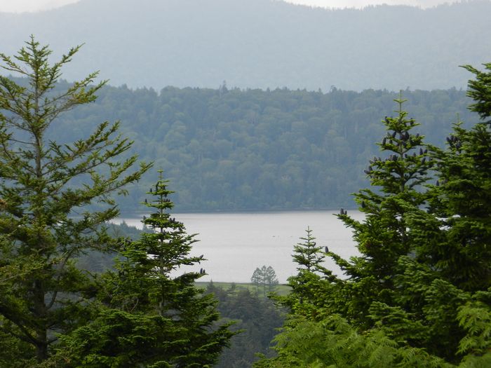 f:id:k9352009:20120831184225j:image