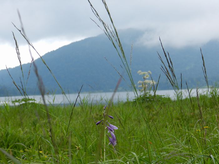 f:id:k9352009:20120831192802j:image