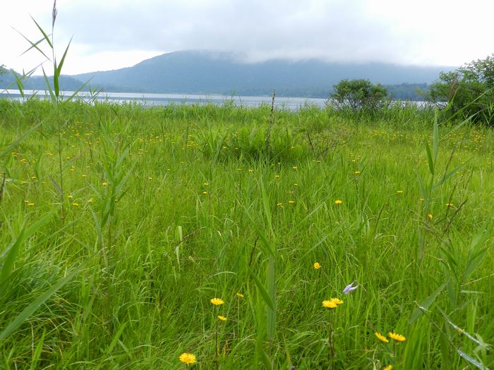 f:id:k9352009:20120831193136j:image