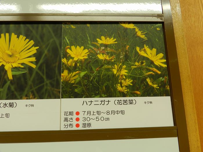 f:id:k9352009:20120831193243j:image