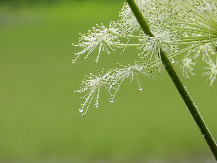 f:id:k9352009:20120831195627j:image