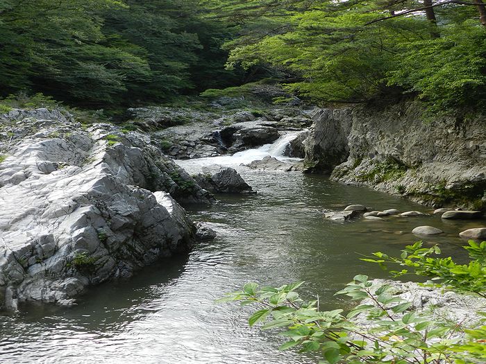 f:id:k9352009:20120918123829j:image
