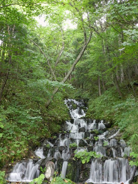 f:id:k9352009:20120920123043j:image