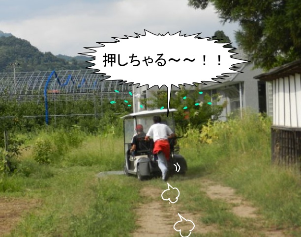 f:id:k9352009:20120920130358j:image