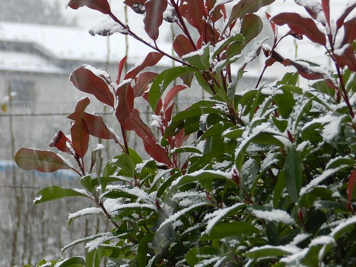 f:id:k9352009:20121201113209j:image