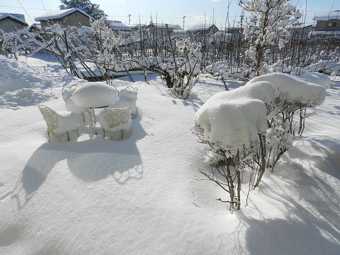 f:id:k9352009:20130119212436j:image