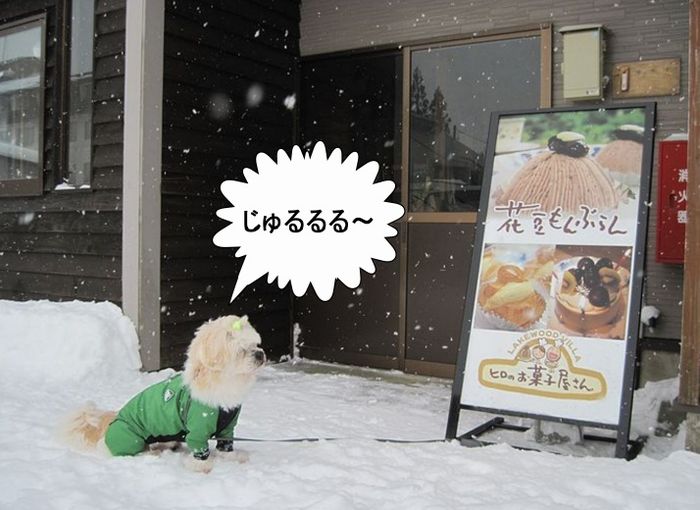 f:id:k9352009:20130213121948j:image