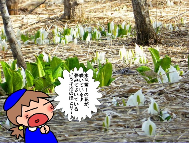 f:id:k9352009:20130411122940j:image