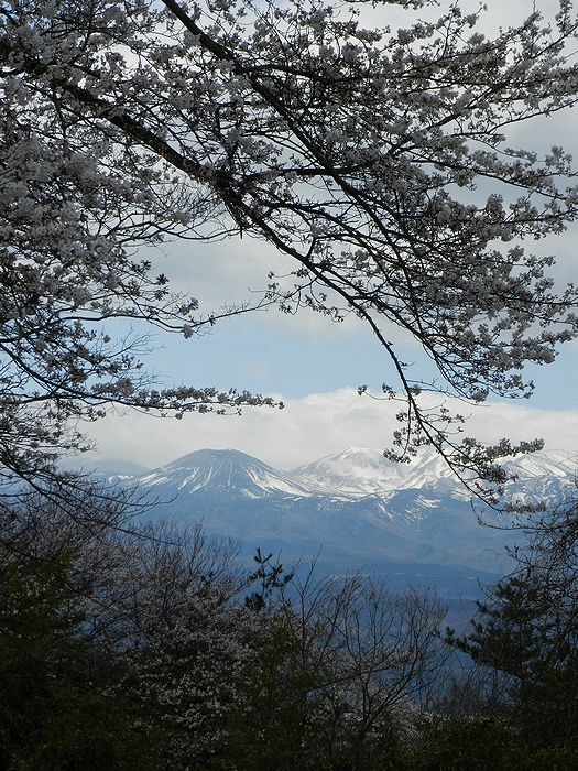 f:id:k9352009:20130414065516j:image