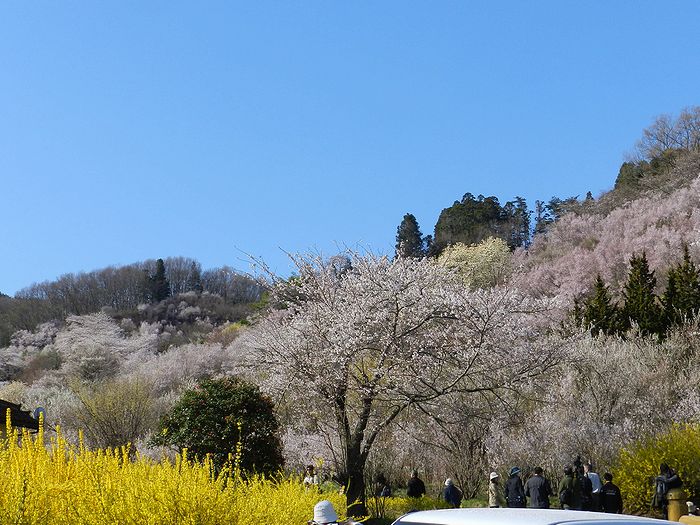 f:id:k9352009:20130415072550j:image