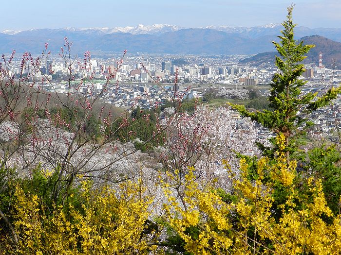 f:id:k9352009:20130415072551j:image