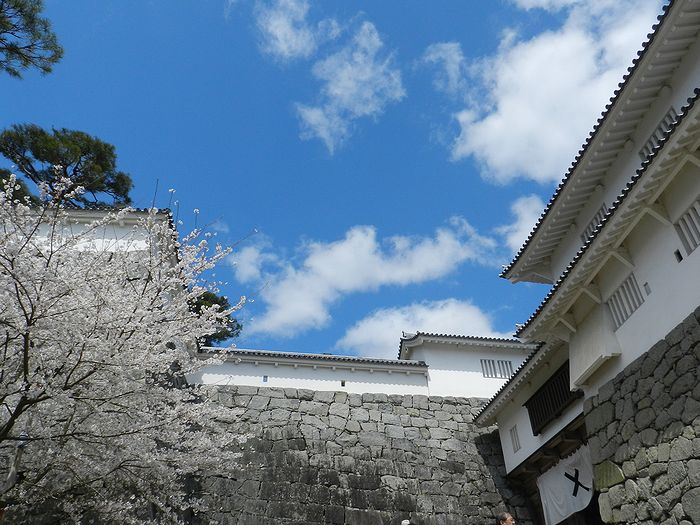f:id:k9352009:20130415074035j:image
