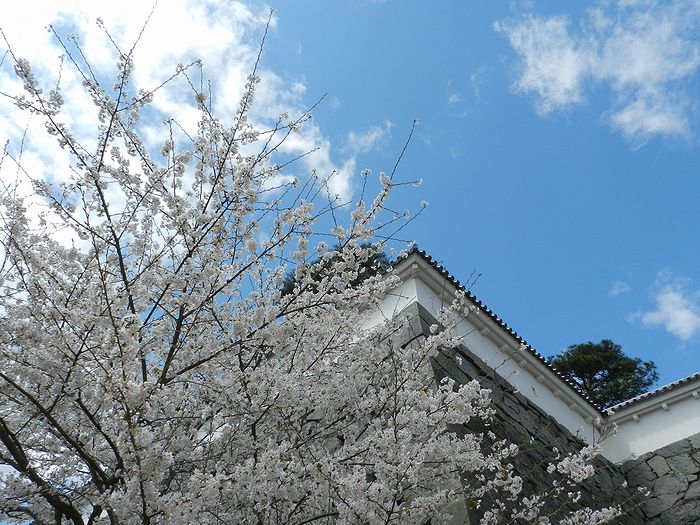 f:id:k9352009:20130415074642j:image
