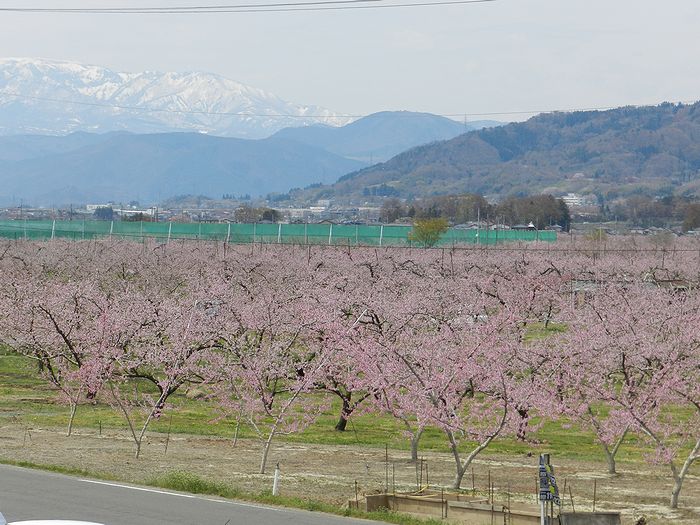 f:id:k9352009:20130420192551j:image