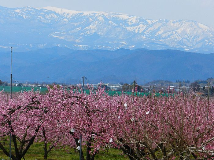f:id:k9352009:20130420192557j:image