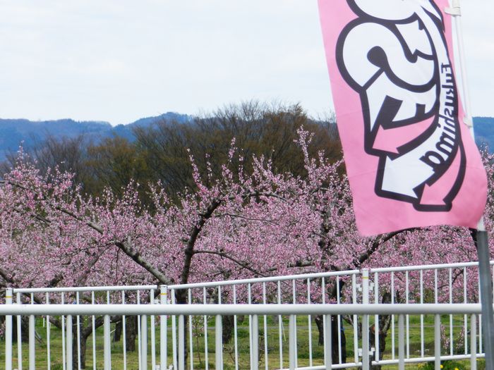f:id:k9352009:20130420215043j:image
