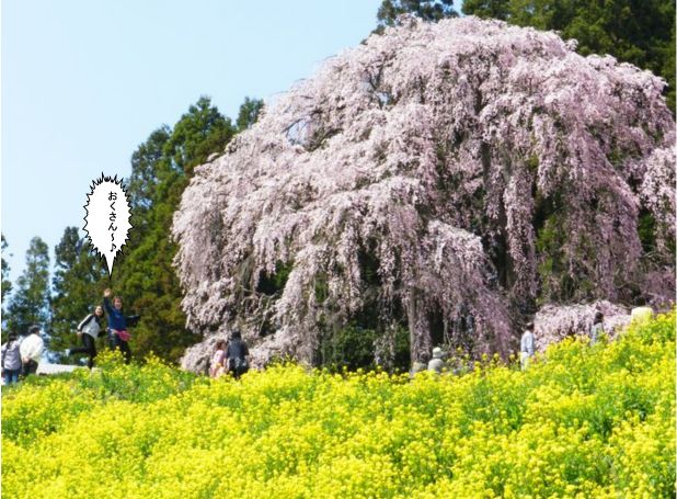 f:id:k9352009:20130425083137j:image