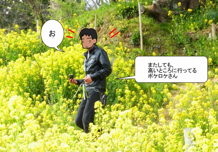 f:id:k9352009:20130425095550j:image