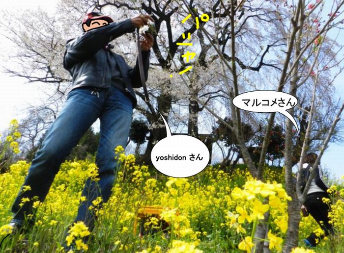 f:id:k9352009:20130425100328j:image