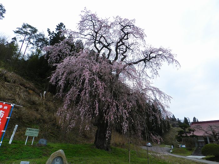 f:id:k9352009:20130425101410j:image