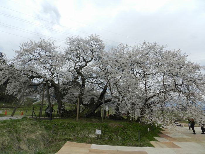 f:id:k9352009:20130430110428j:image f:id:k9352009:20130430110428j:image