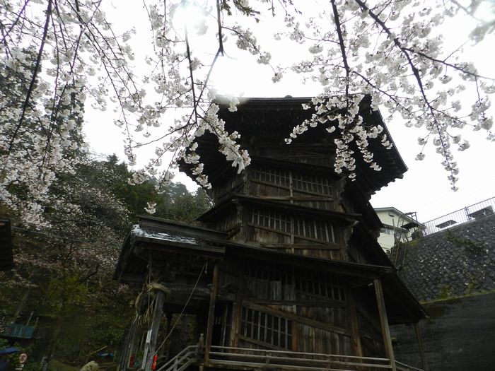 f:id:k9352009:20130430112144j:image f:id:k9352009:20130430112144j:image