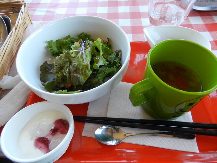 f:id:k9352009:20130624171822j:image