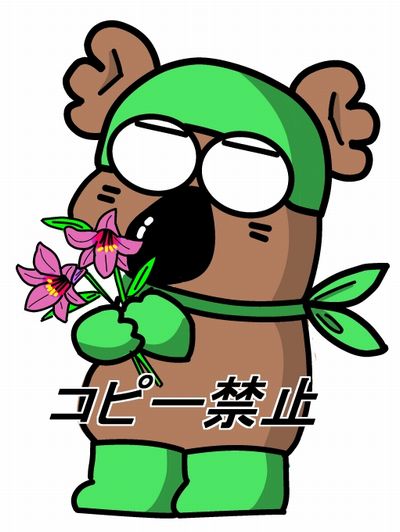 f:id:k9352009:20130705114732j:image