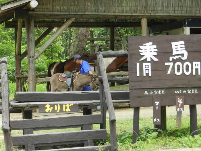 f:id:k9352009:20130801184441j:image