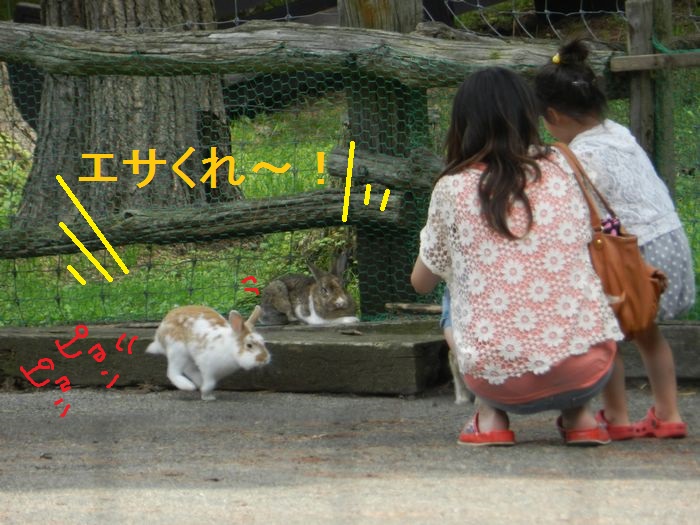 f:id:k9352009:20130801185249j:image