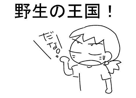 f:id:k9352009:20130805121553j:image