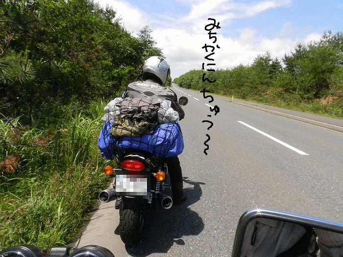 f:id:k9352009:20130807083247j:image