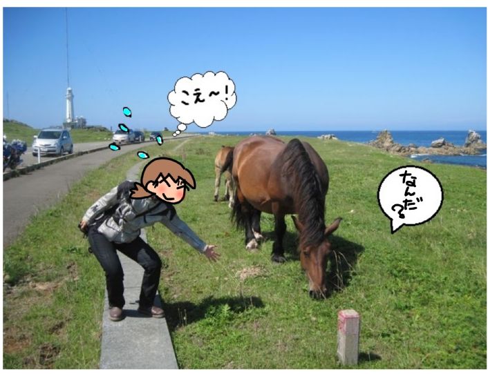 f:id:k9352009:20130807193218j:image