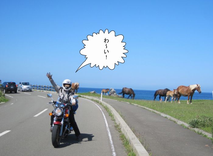 f:id:k9352009:20130807194117j:image