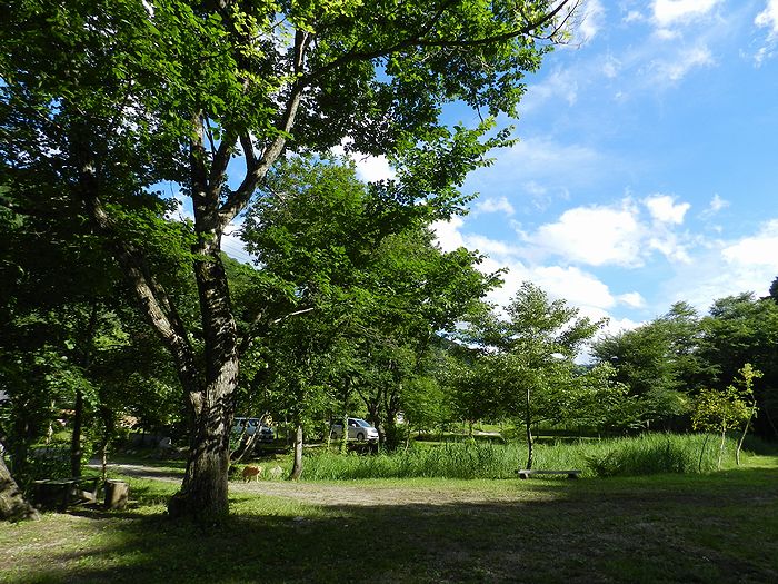 f:id:k9352009:20130818094602j:image f:id:k9352009:20130818094602j:image