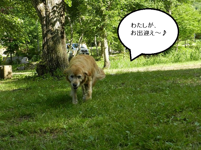 f:id:k9352009:20130818094708j:image f:id:k9352009:20130818094708j:image