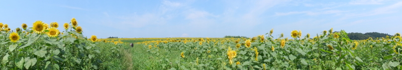f:id:k9352009:20130907113635j:image