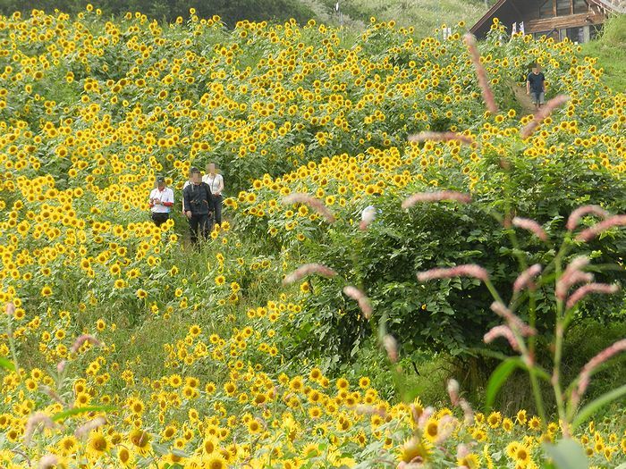 f:id:k9352009:20131001225246j:image