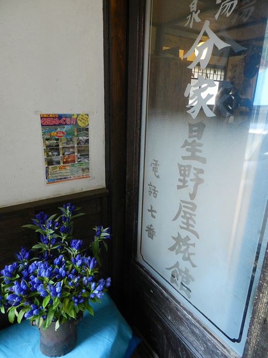 f:id:k9352009:20131015085801j:image